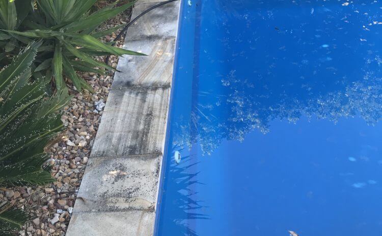  Pool Area Stone Clean and Seal @ Helensvale